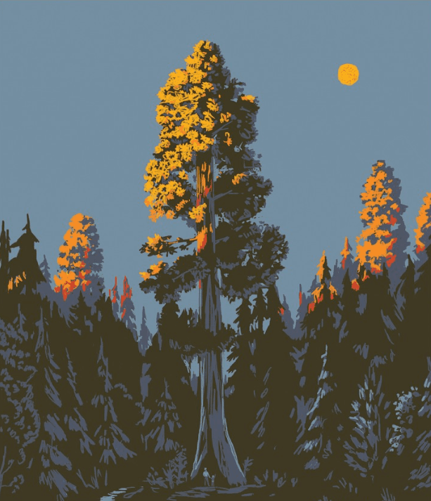 Top left small image